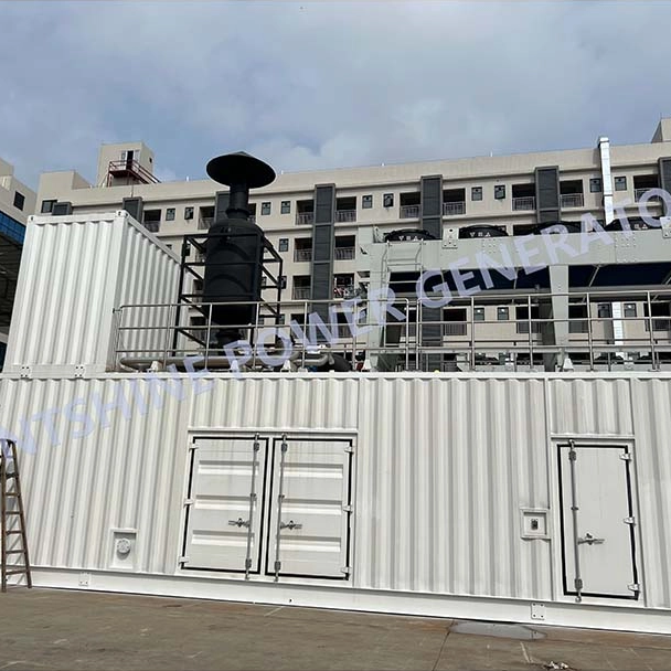 Saintshine Multi-Power Gas Generator 