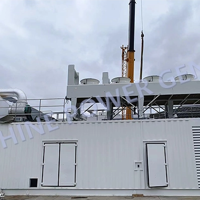 Saintshine Multi-Power Gas Generator 